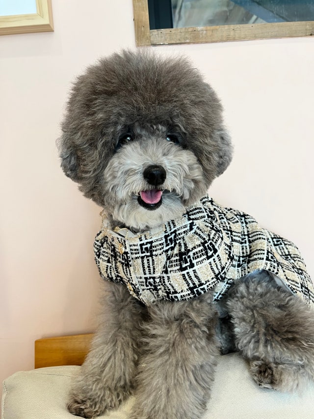 BCC9E931-D4D2-4712-BDD1-E5061D2DB667.jpeg?type=w640