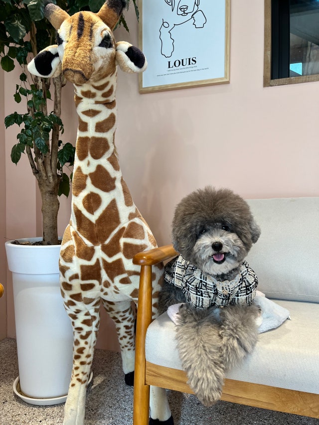 F7EFEA00-AFB1-4F07-AFEC-2212D451D0AA.jpeg?type=w640