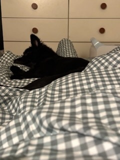 이미지를 찾을 수 없습니다.