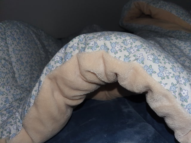 이미지를 찾을 수 없습니다.