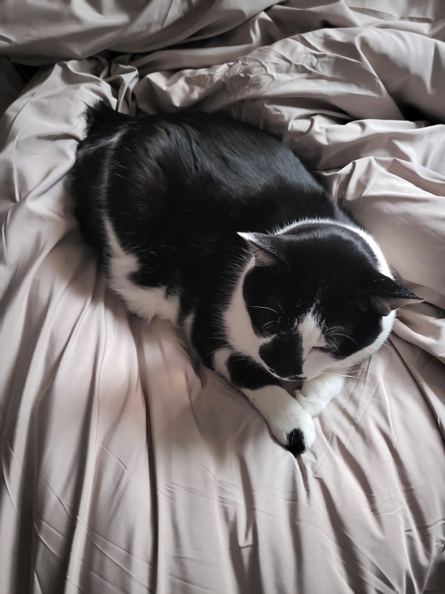 이미지를 찾을 수 없습니다.