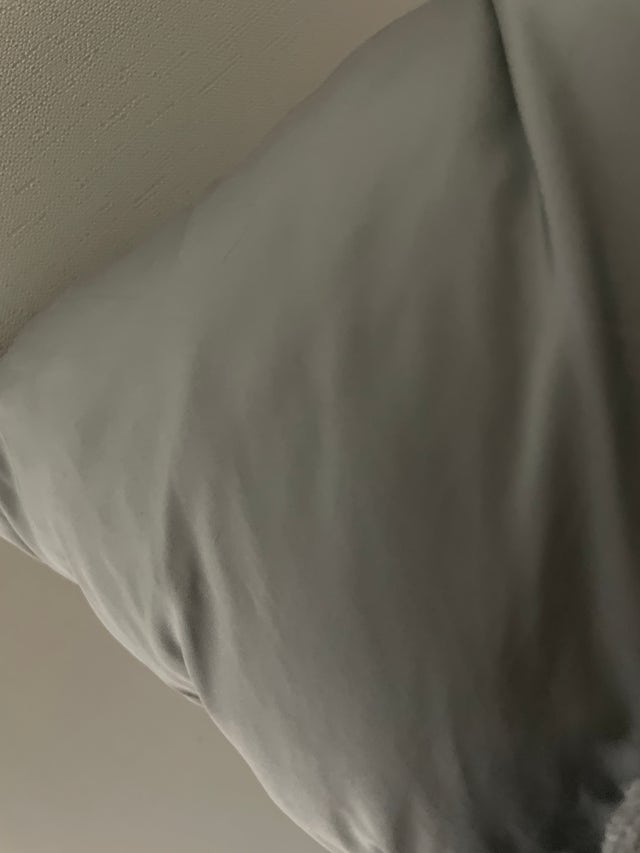 이미지를 찾을 수 없습니다.