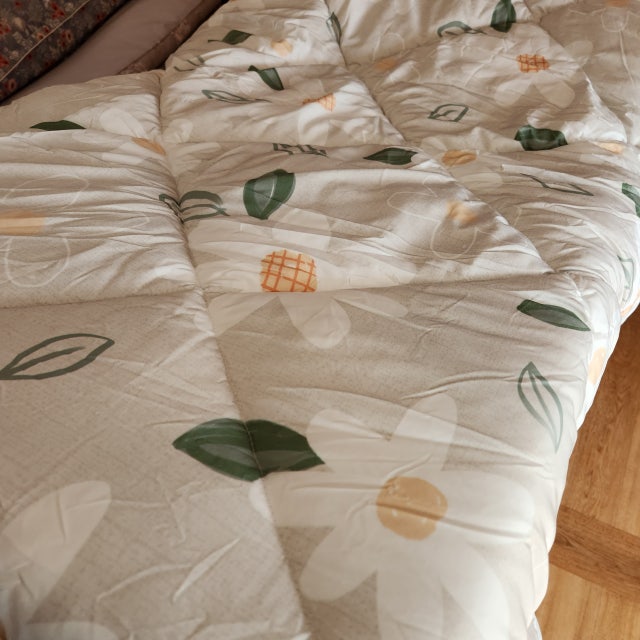 이미지를 찾을 수 없습니다.