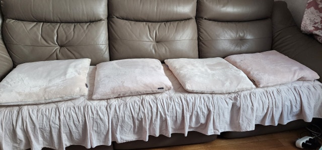 이미지를 찾을 수 없습니다.