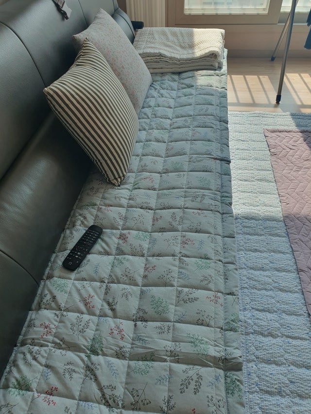 이미지를 찾을 수 없습니다.