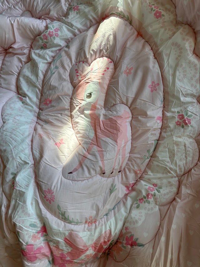 이미지를 찾을 수 없습니다.