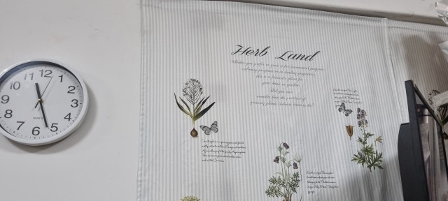 이미지를 찾을 수 없습니다.