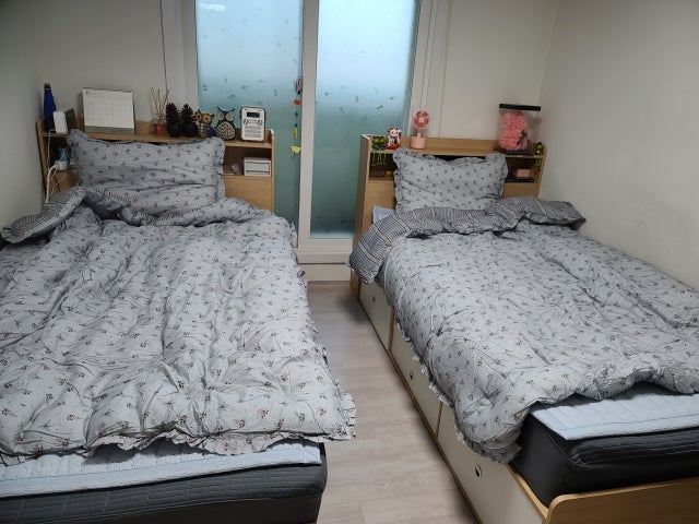 이미지를 찾을 수 없습니다.