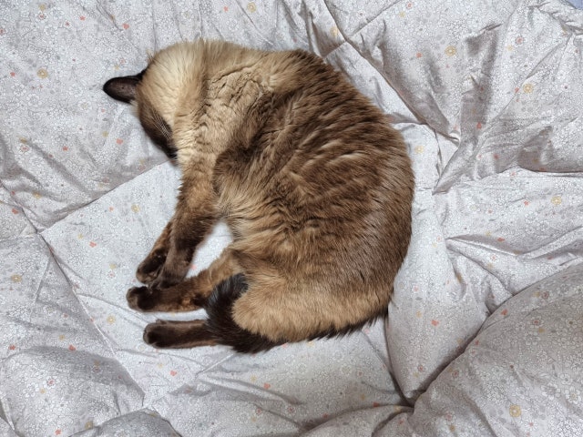 이미지를 찾을 수 없습니다.