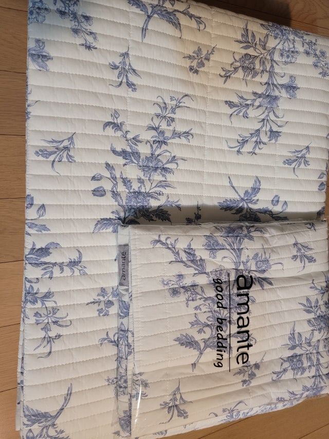 이미지를 찾을 수 없습니다.