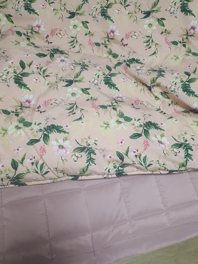 이미지를 찾을 수 없습니다.