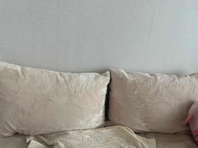 이미지를 찾을 수 없습니다.