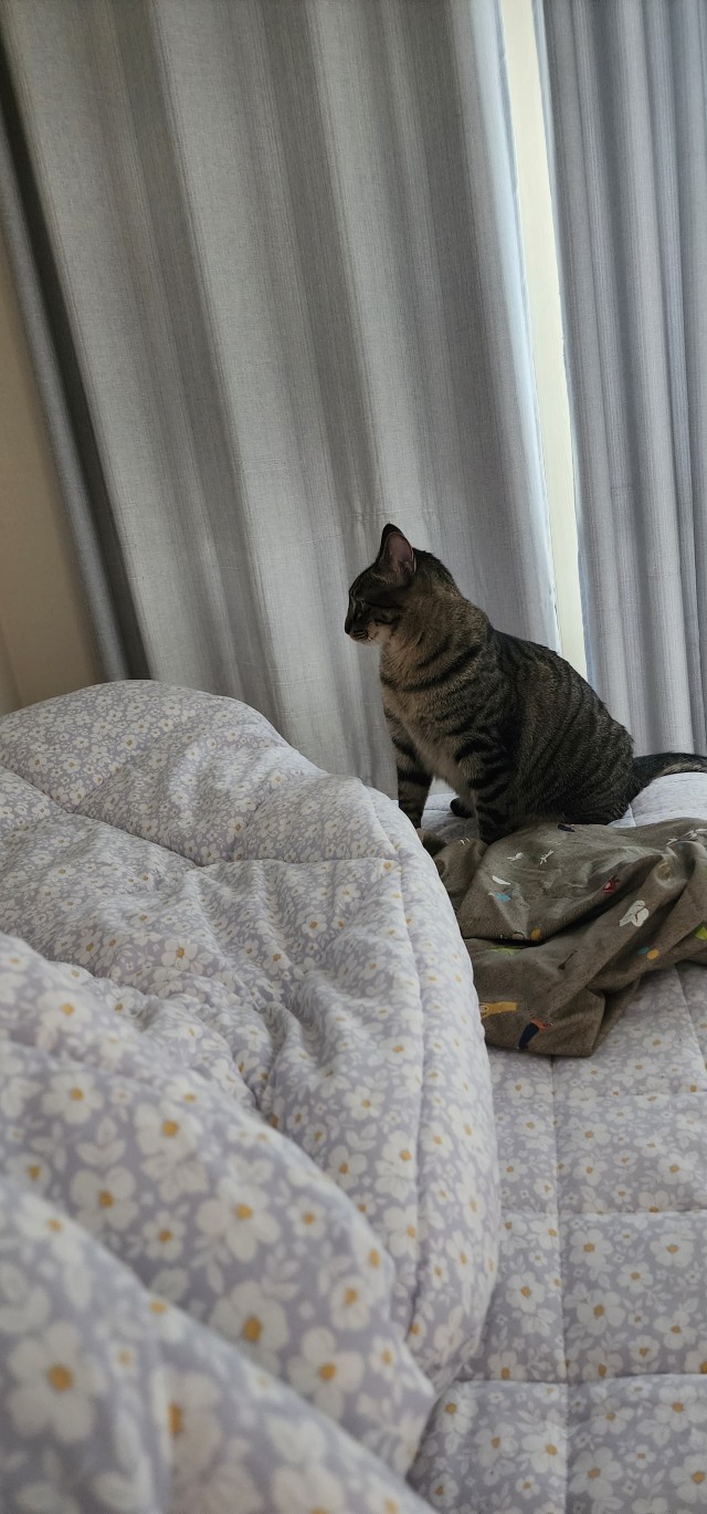 이미지를 찾을 수 없습니다.