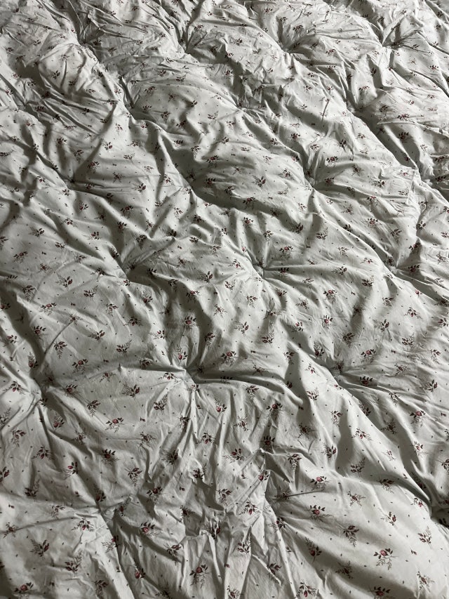 이미지를 찾을 수 없습니다.