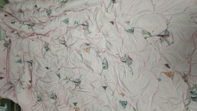 이미지를 찾을 수 없습니다.