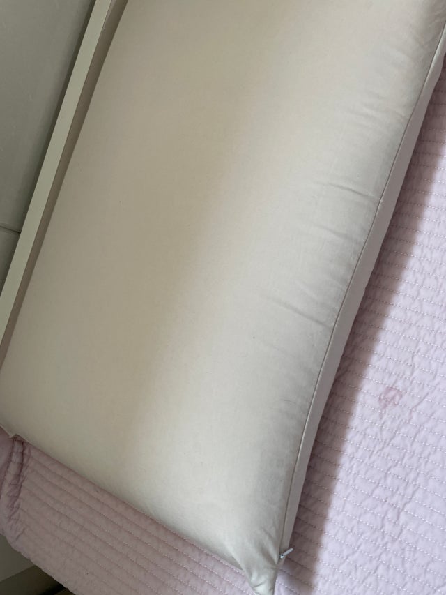 이미지를 찾을 수 없습니다.