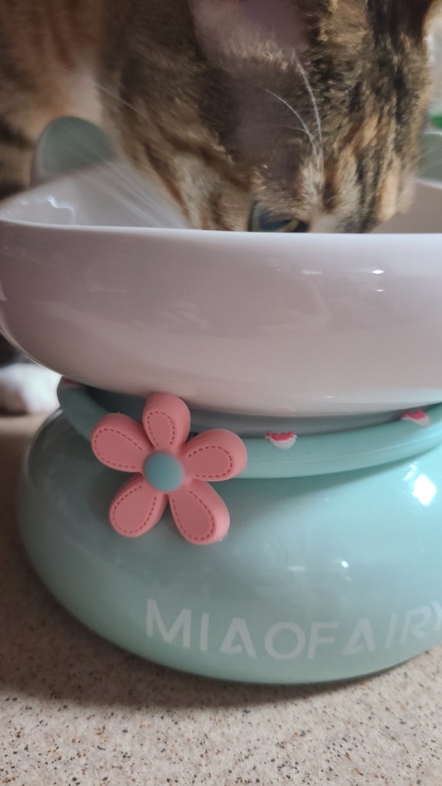 이미지를 찾을 수 없습니다.