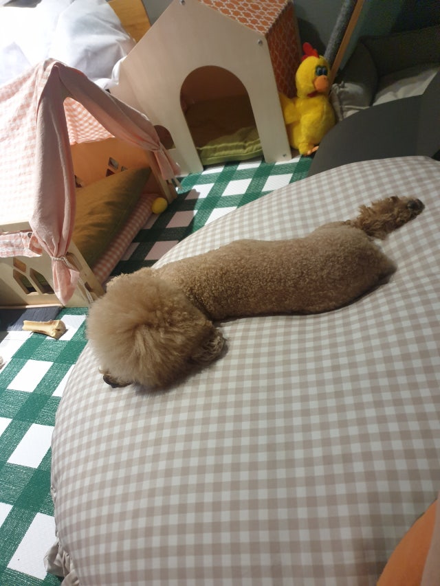 이미지를 찾을 수 없습니다.