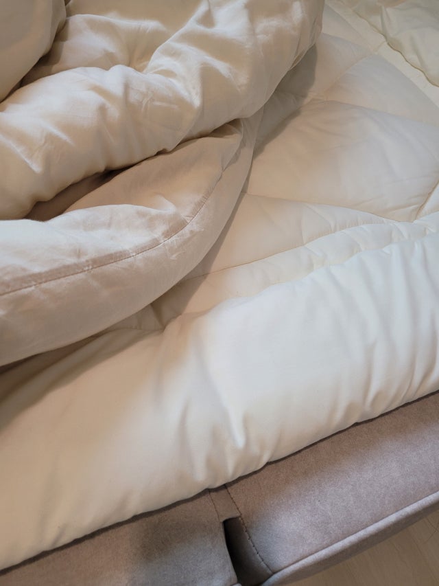 이미지를 찾을 수 없습니다.