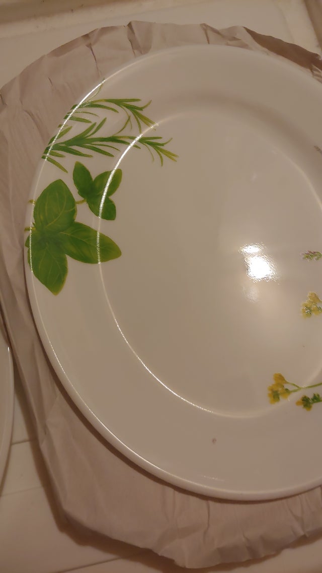 20230415_060023.jpg?type=w640