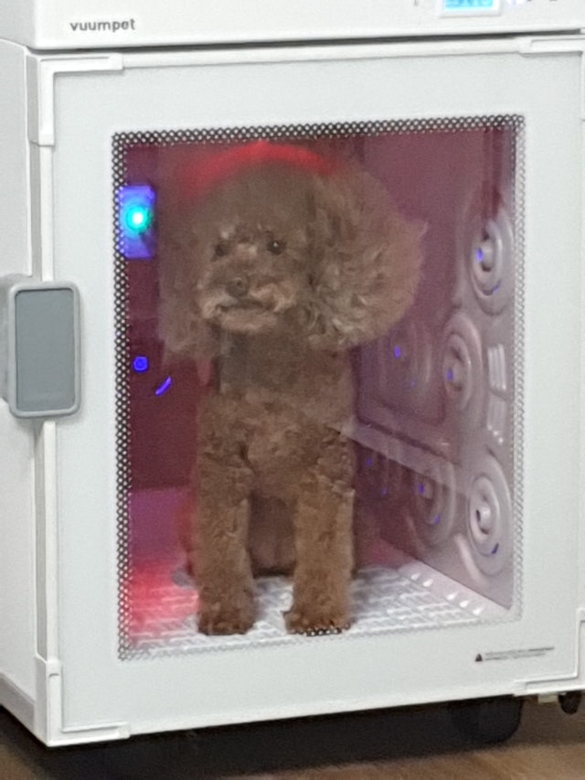 CYMERA_20230329_174103.jpg?type=w640