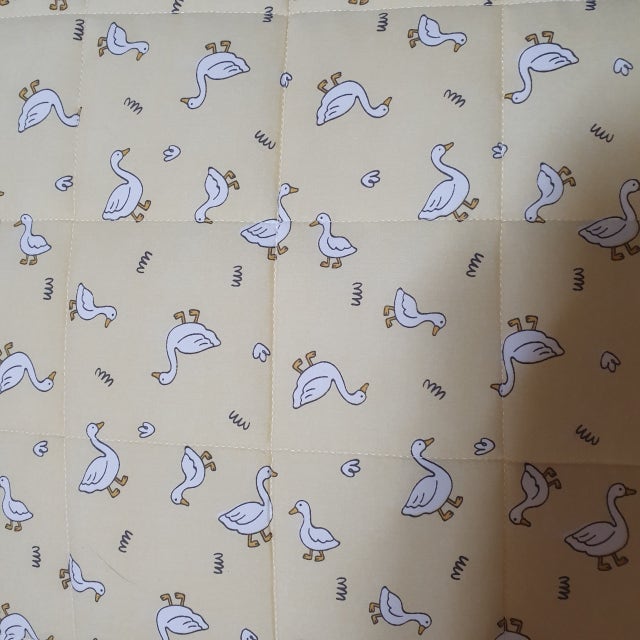 이미지를 찾을 수 없습니다.