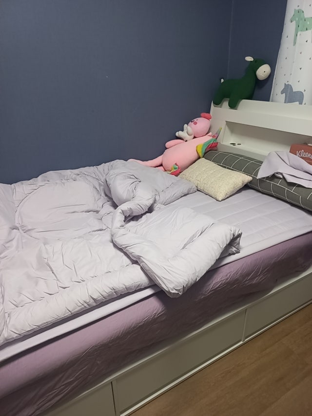 이미지를 찾을 수 없습니다.