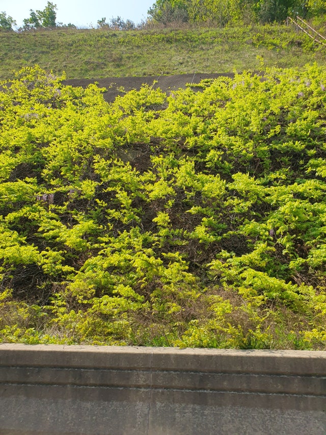 20230430_101951.jpg?type=w640