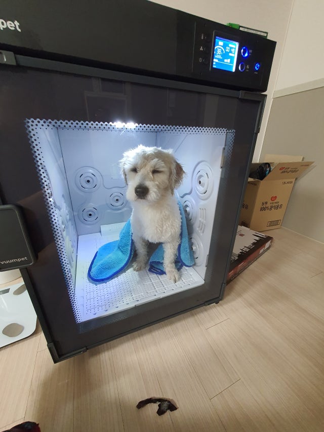 20230307_213326.jpg?type=w640