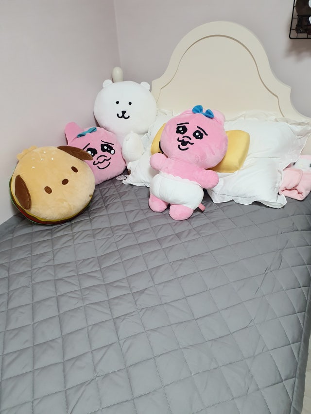 이미지를 찾을 수 없습니다.