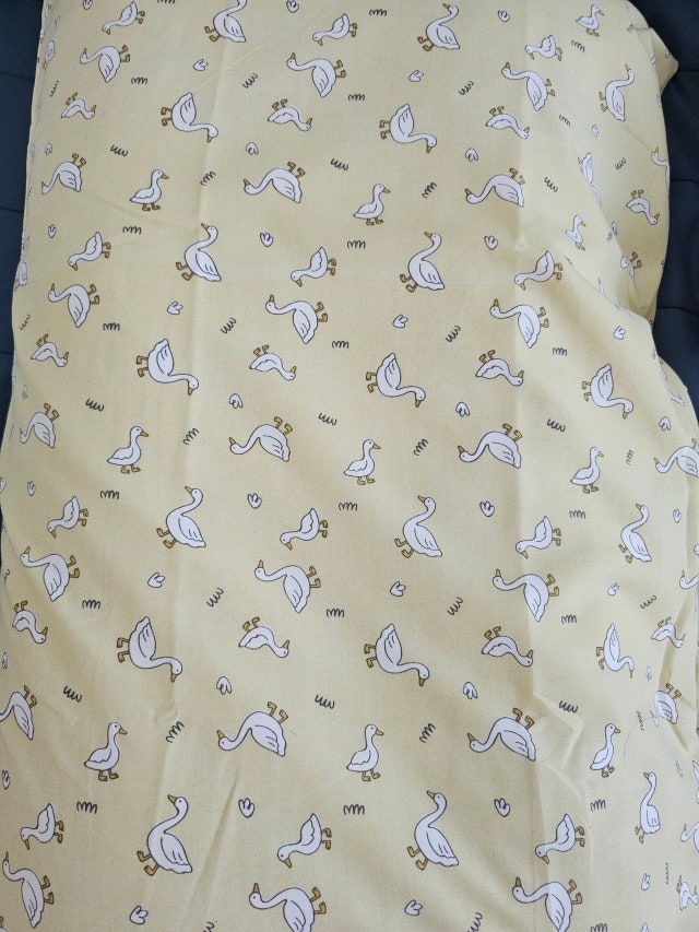 이미지를 찾을 수 없습니다.