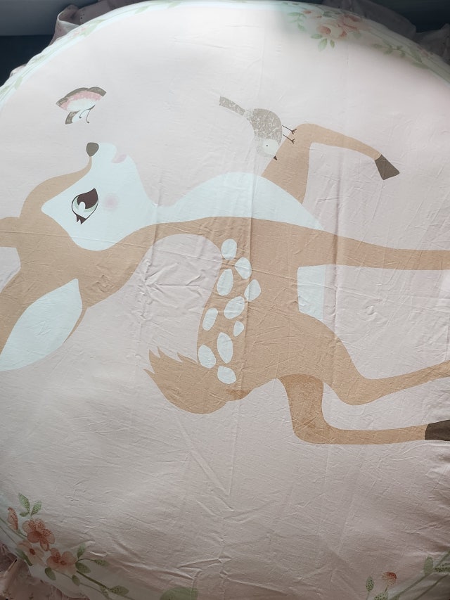 이미지를 찾을 수 없습니다.