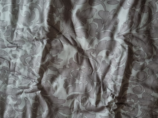 이미지를 찾을 수 없습니다.