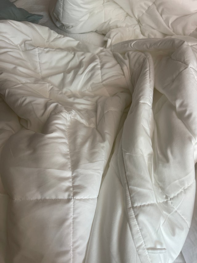 이미지를 찾을 수 없습니다.