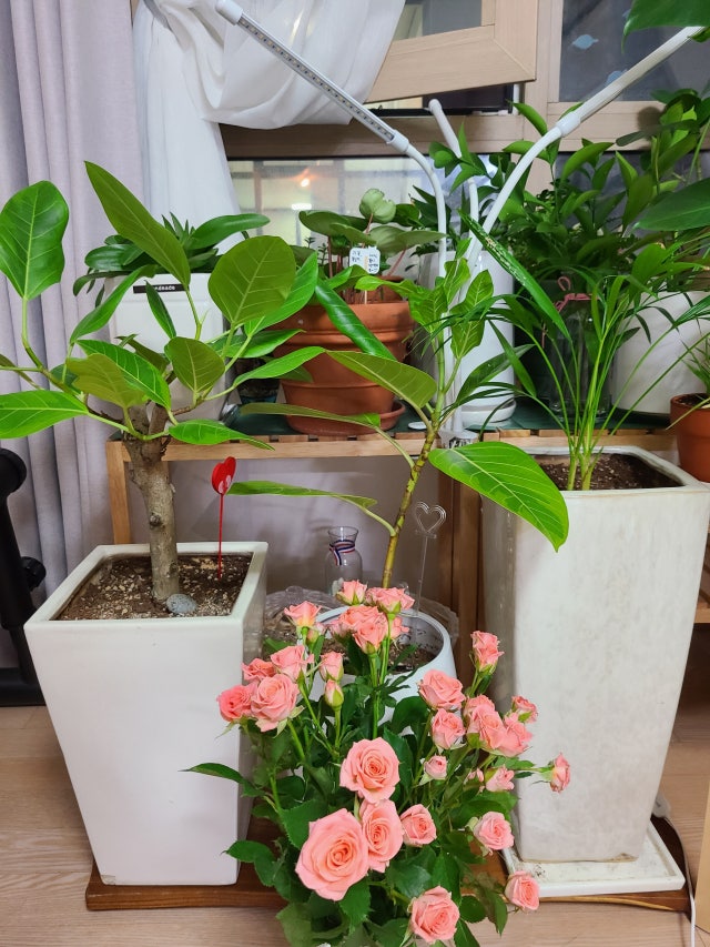 이미지를 찾을 수 없습니다.