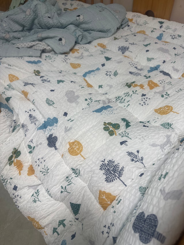 이미지를 찾을 수 없습니다.