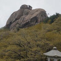 review of 요넥스 배드민턴채 배드민턴라켓 여성 초경량 입문용