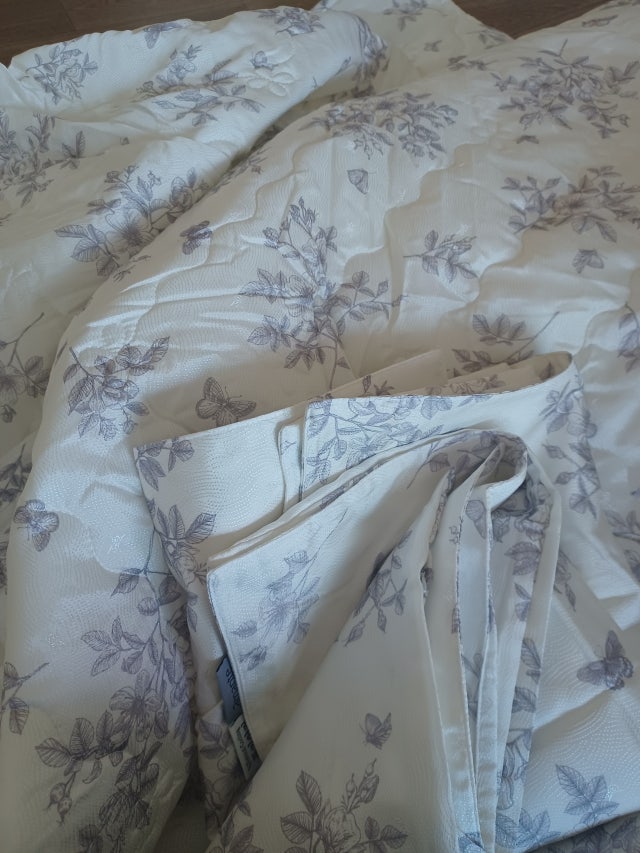 이미지를 찾을 수 없습니다.