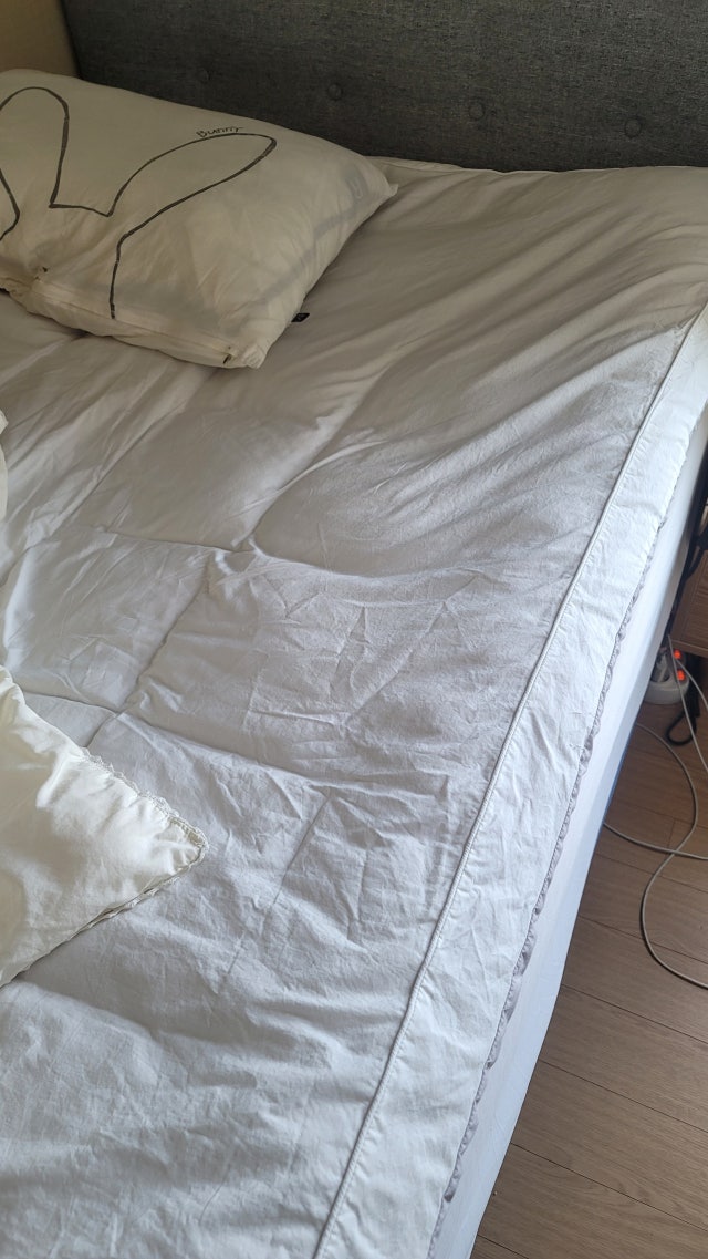 이미지를 찾을 수 없습니다.