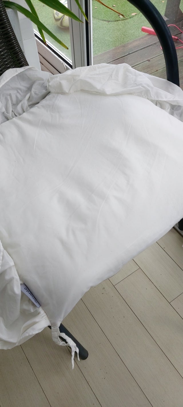 이미지를 찾을 수 없습니다.