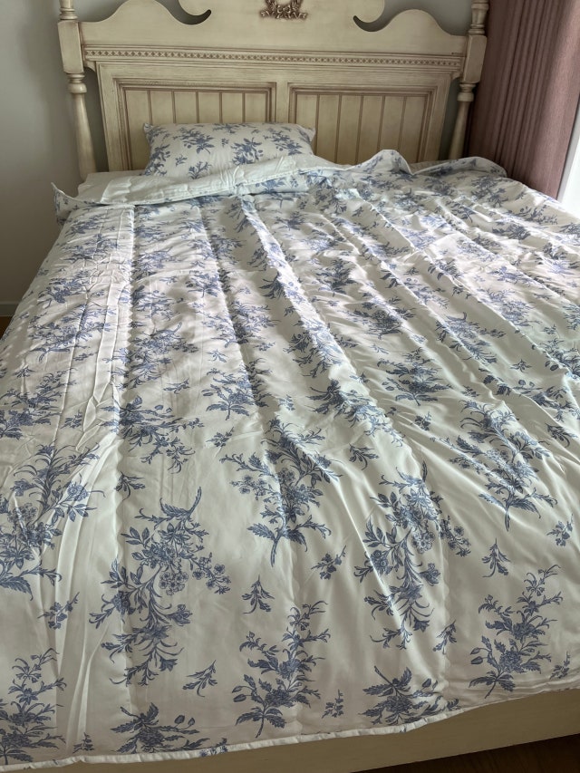 이미지를 찾을 수 없습니다.