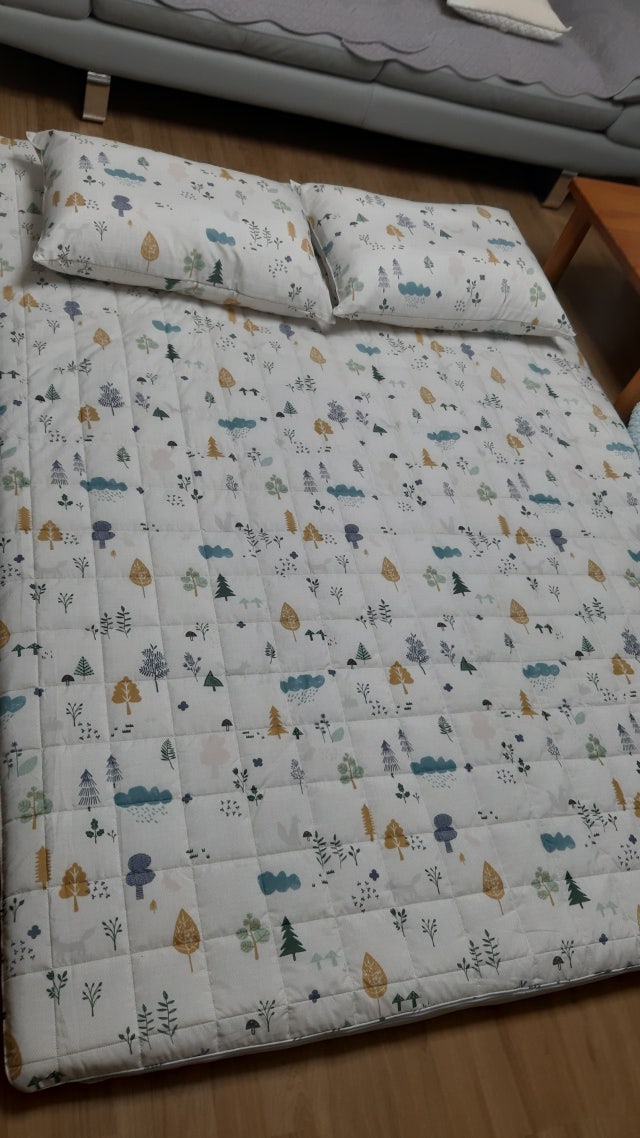 이미지를 찾을 수 없습니다.