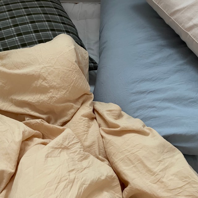 이미지를 찾을 수 없습니다.