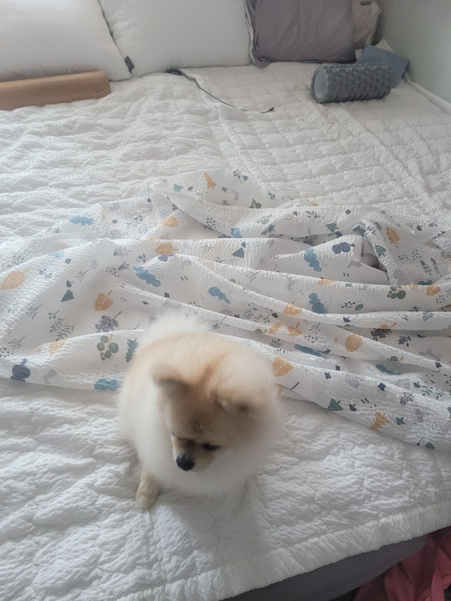 이미지를 찾을 수 없습니다.