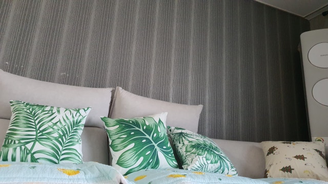 이미지를 찾을 수 없습니다.