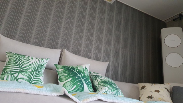 이미지를 찾을 수 없습니다.