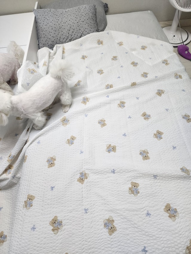 이미지를 찾을 수 없습니다.