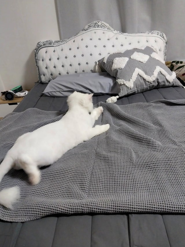 이미지를 찾을 수 없습니다.