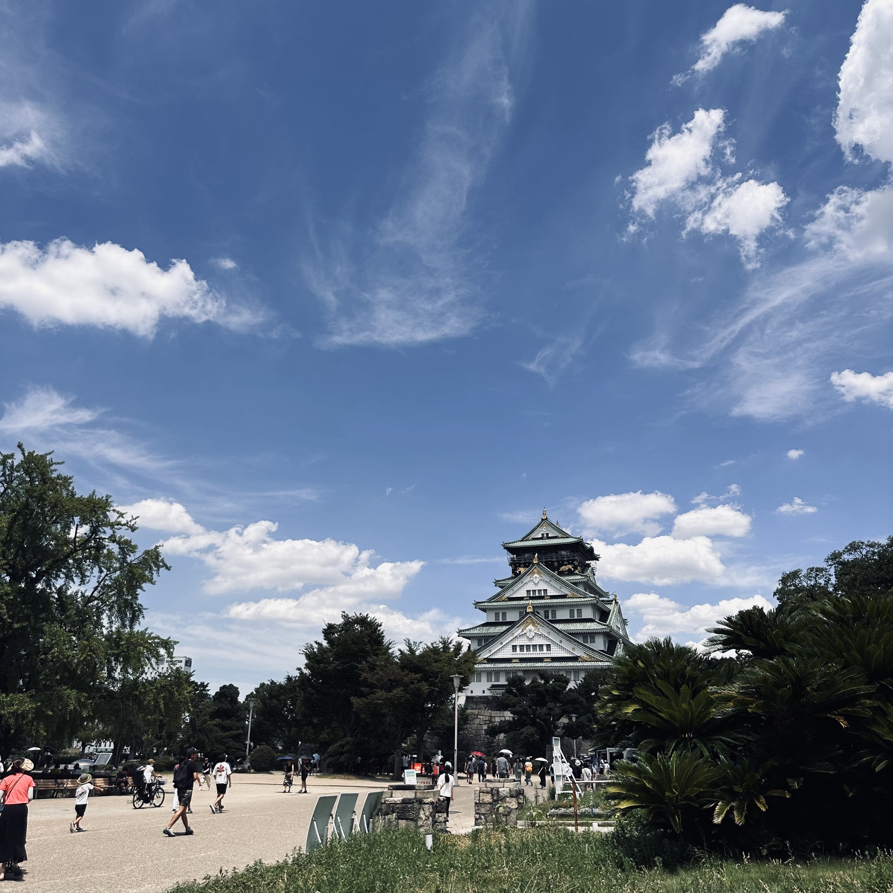 IMG_4394.jpeg