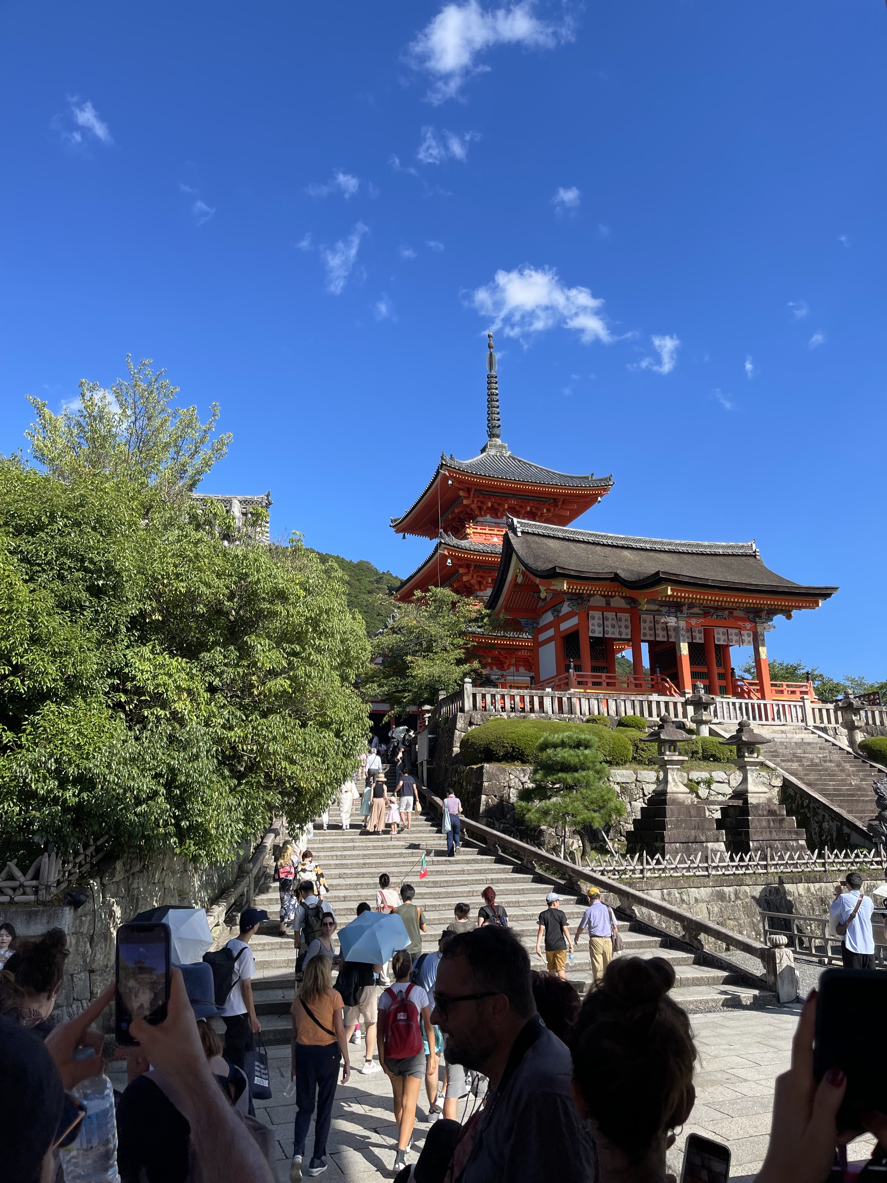 IMG_9453.jpeg